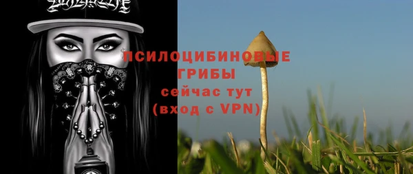 мяу мяу мука Алексин