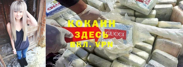 ешки Алексеевка