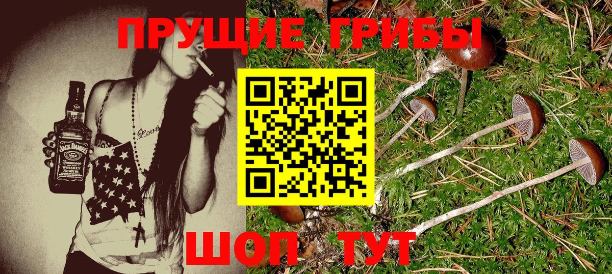 Псилоцибиновые грибы прущие грибы  Вход с VPN  Томск 
